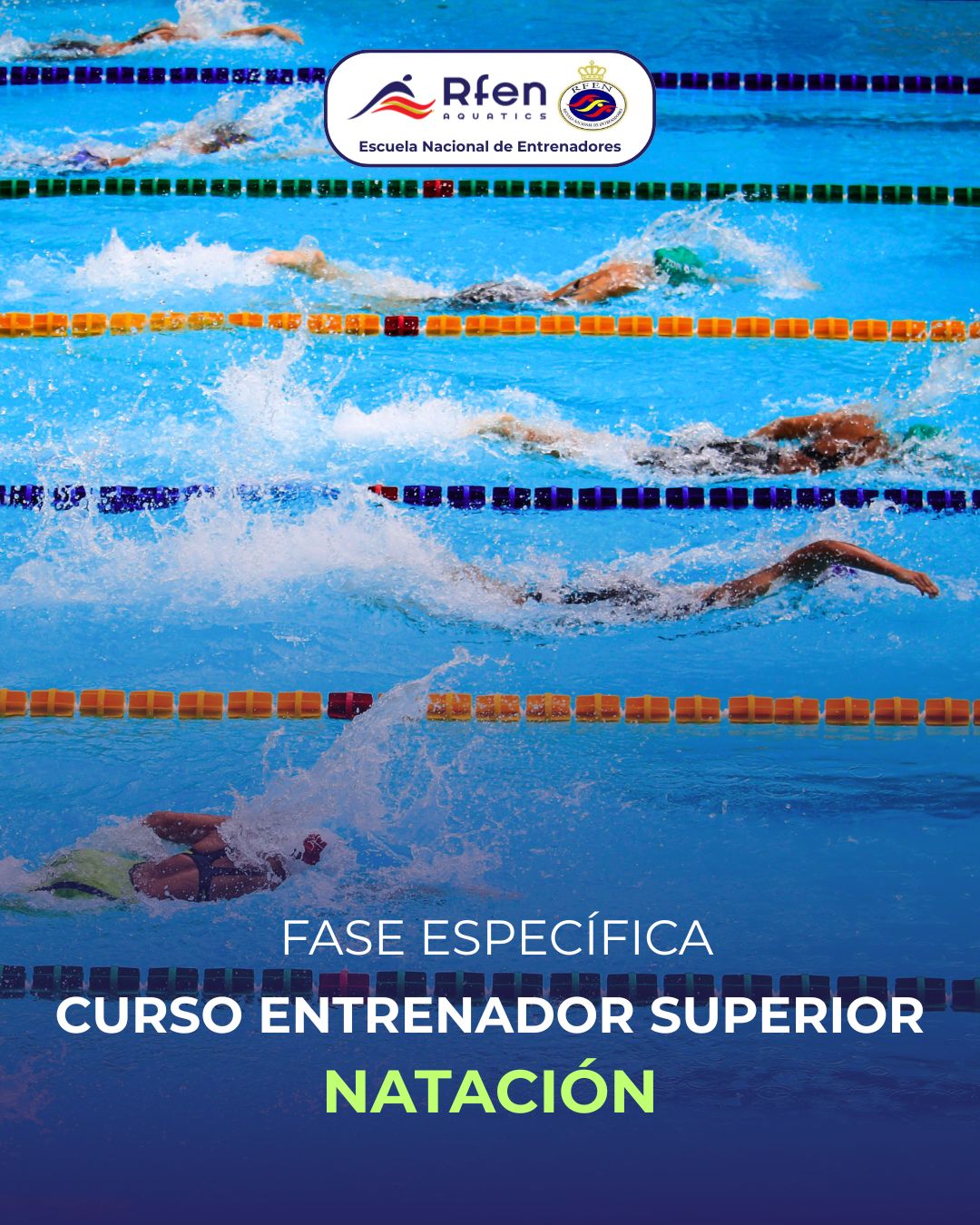Curso de Entrenador Superior de Natación 2026 - Fase específica