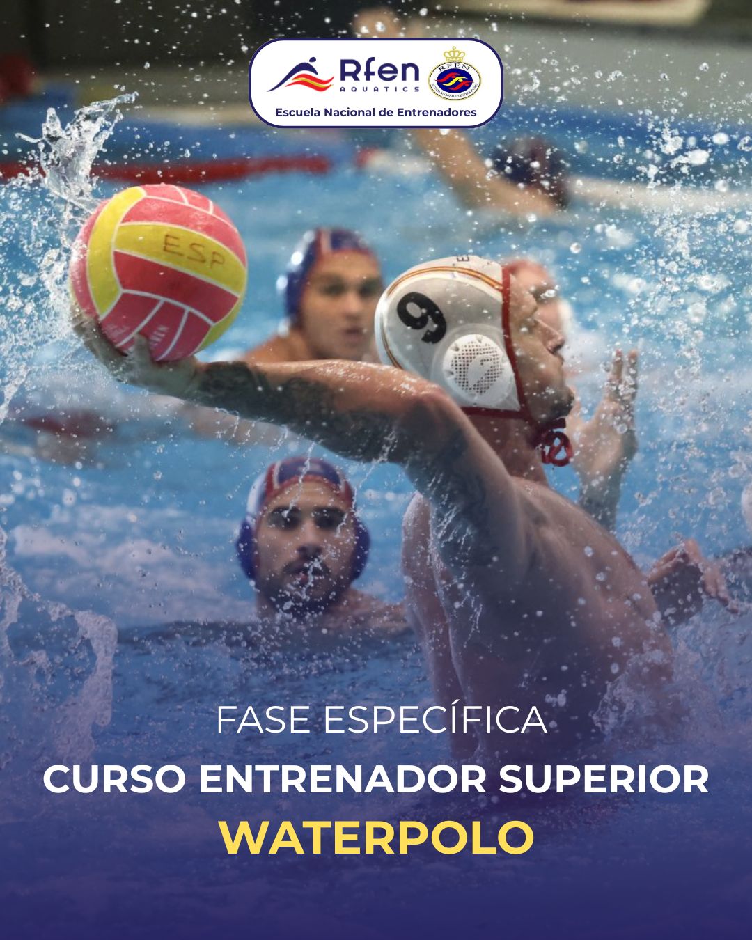Curso de Entrenador Superior de Waterpolo 2026 - Fase específica